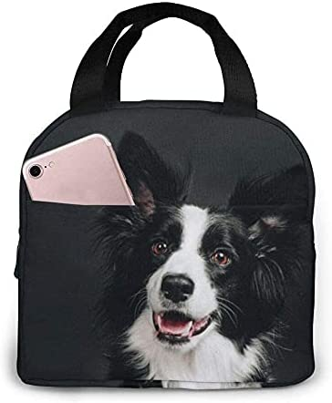 حقيبة الغداء يونغ بوردر كولي د - مراجعة Tote Bag Sublimation وسعره